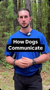 1.7K views · 57 reactions | How do dogs communicate to us if they are nonverbal beings? 樂 #dogs #dogtrainer #dogtraining #dogtrainingtips #dogbodylanguage | Canine Revolution Dog Training | Facebook