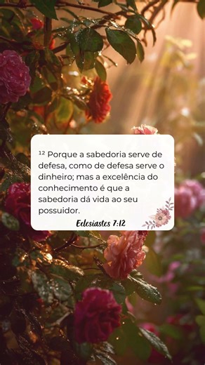 A sabedoria protege e dá vida a quem a possui. — Ec 7:12