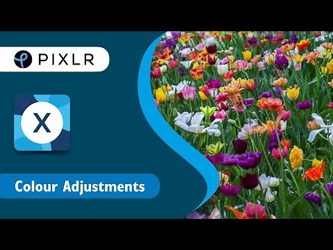 Quick & Easy Series: Color Adjustments in Pixlr X