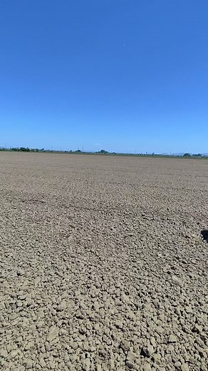 DEUTZ-FAHR agrotron 6160p δουλεύει με σβωλοτριφτη πριν από σπορά βαμβακιού #farm #farmers #farmer #farming #farms #farmlife #agro #agri #agricola #agriculture #agricultura #deutzfahr #tractor | farmers today