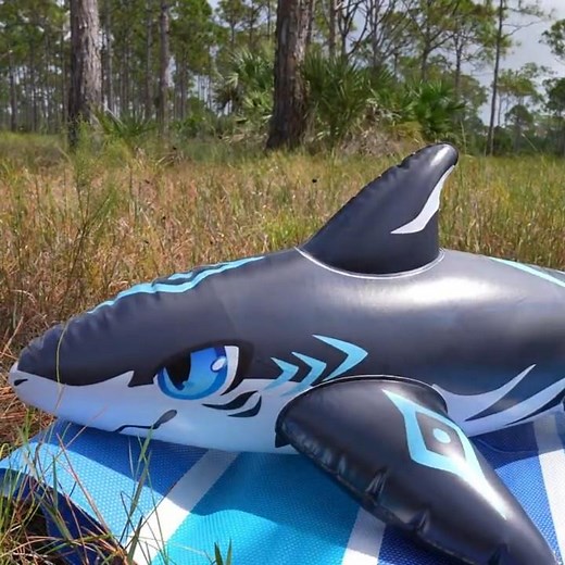 Miniature Inflatable Shark Pool Toy from Imaginary Creature Factory