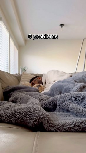 Luna The Mini Cockapoo on Instagram: "Problems solved 🥺 #dogs #puppylove #minicockapoo"