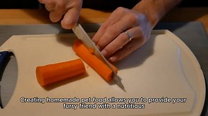 Best Homemade Pet Food recipe