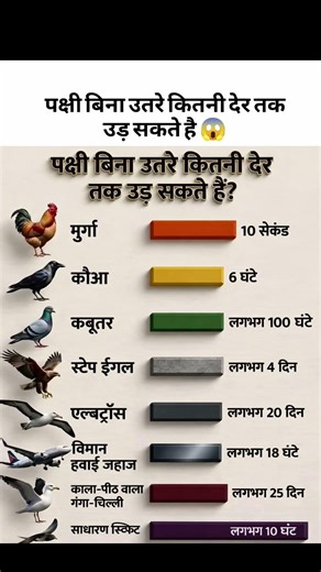 #BirdFacts #AmazingFacts #FlyingBirds #Knowledge #Shorts #GK #InterestingFacts #ViralShorts