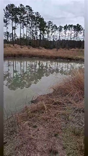 I want Jesus to walk with me. (i do not own any copywrites, all copywrites go to respective owners.