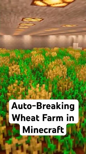 Auto-Breaking Wheat Farm in Minecraft