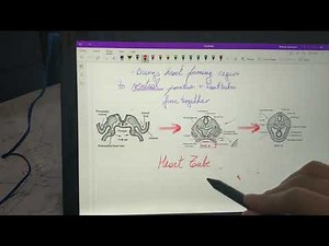 OneNote page not working - fix required! Microsoft