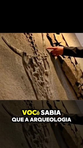 194 reactions · 17 shares | Os segredos da arqueologia proibida #historia #terror #curiosidades | Anderson Da Santos | Facebook