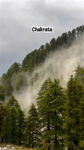 Chakrata Uttarakhand Hidden Gem | 3-Day Ultimate Travel Guide & Itinerary #shortsfeed #chakrata