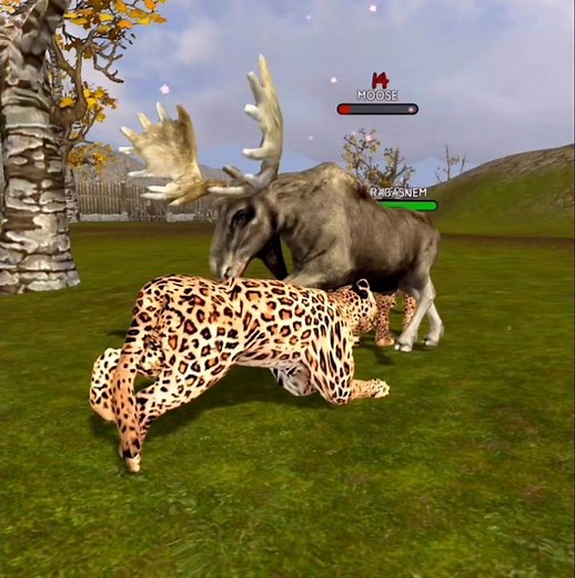 Angry Leopard's 🐆 V's Brave Moose🦌 Ultimate Leopard Simulator
