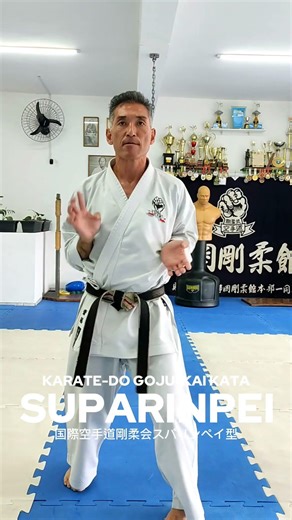 Karate-do Goju-kai-SUPARINPEI #budo #martialarts #gojukai #dojo #karatedo #artesmarciais #japan