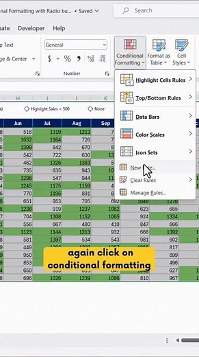 Dynamic Conditional Formatting with Radio Buttons #learnexcel #excel #traffic #motivation