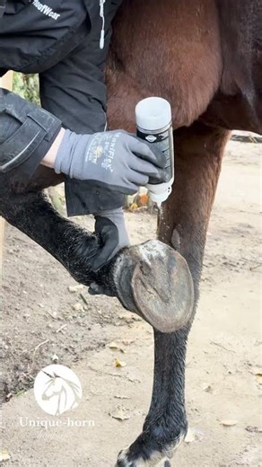 Paard in de modder? Bescherm de hoef met Unique-horn Magic Hoof Powder