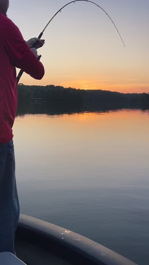 1.4M views · 10K reactions | Surprise catch while crappie fishing yesterday evening. #tackle22fishing #22NoMore #crappiemonster #striper #getthenet | Tackle 22 Fishing | Facebook