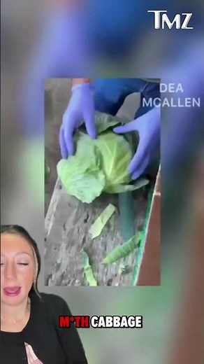 M*th concealed in a cabbage shipment has been seized by the DEA in South Texas.