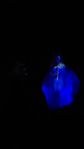 Constance Hatchaway - Bride Haunted Mansion Walt Disney World #hauntedmansion #disneyhalloweentime