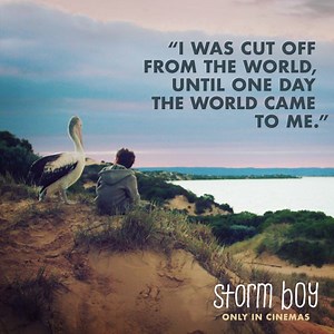 A beautiful reimagining of Colin Thiele's classic Australian story, Storm Boy is an unmissable film for the whole family. STORM BOY is in cinemas January 17. | Sony Pictures