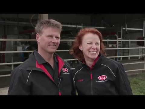 Large Australian dairy farm milking with robots