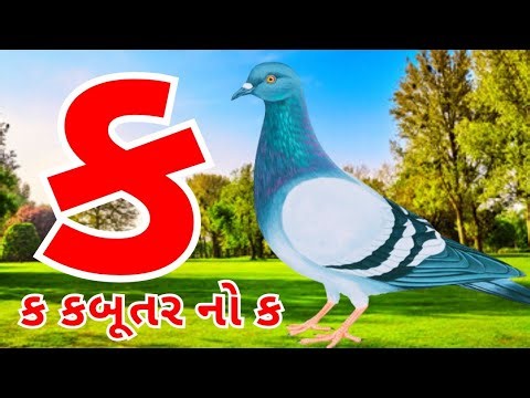 Gujarati kakko | કક્કો ગુજરાતી | ગુજરાતી કક્કો અને સ્વર | ક ખ ગ ઘ | kakko gujarati #kakko #કક્કો 13