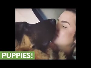 German Shepherd licks owner's entire face