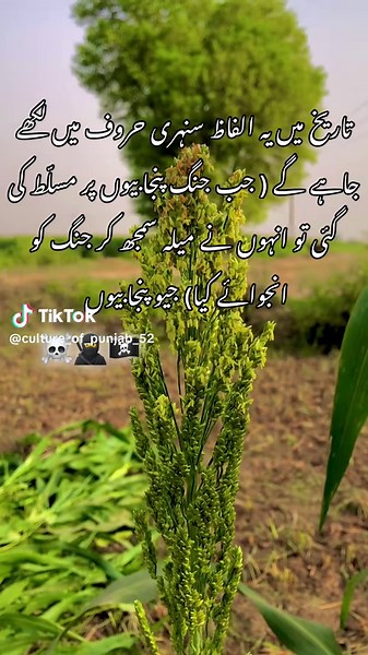 Understanding the Culture of Punjab Through History