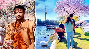 126K views · 753 reactions | Cherry Blossom (Sakura) at High Park in...