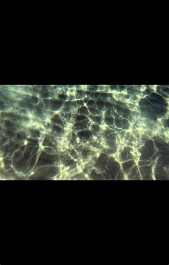 Hermit Crab . . . . . #amateurphotographer #photographer #photography #photo #sx70hs #canon #honor #honor400pro #greece #zante #zakynthos #kalamaki #sunny #bluesky #blueskies #hot #clear #water #holidayphoto #holiday #animal #animalphoto #animalphotography #hermitcrab | 53Photography