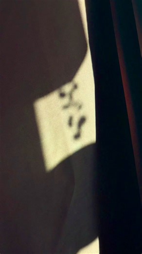 35K views · 311 reactions | Get ready to rise and shine with our new 'Wake Your Ass Up' collection from Jeffree Star Skincare! ☀️ Stay tuned for the ultimate skincare glow-up… Launching next week!!✨ #JeffreeStarCosmetics #WakeYourAssUp #SneakPeek #NewCollection #GlowUp | Jeffree Star Cosmetics | Facebook