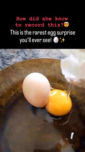 Whys of Life on Instagram: "Ever seen an egg inside an egg? 🥚😱 ✅ What’s happening - When a hen lays eggs, the oocyte (future yolk) is released from the ovary and travels down the oviduct. Along the way it gets albumen (egg white), membranes, and finally a shell. ￼ - In rare cases, a second oocyte is released before the first egg has finished forming/been laid. This triggers a “reverse-wave” (called a counter-peristalsis contraction) which causes the first egg to move back up the oviduct. The t