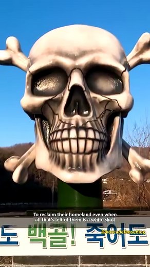 9.5K views · 161 reactions | Why does this South Korean military unit use skull symbols? | Korea Defense Blog | Facebook