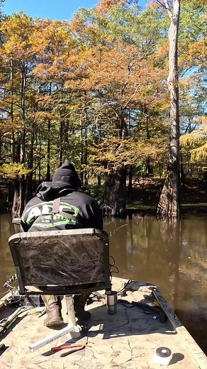 7.6K views · 106 reactions | Slanging crappie in the boat with this 15ft rod! I’m using an 1/16 black and chartreuse jig setup fishing 12ft down #acccrappiestix #arkansas #crappie #crappiefishing #zen #love | Crappie Slanger | Facebook