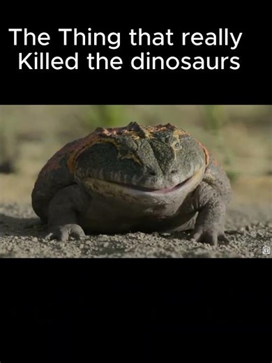 The thing that Really killed the dinosaurs #meme #frog #paleontology #dinosaur #beelzebufo