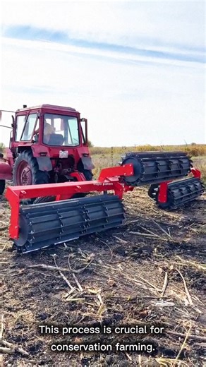 monster roller crushing stubble for the next crop! #monster #machine #agriculture