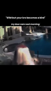 70K views · 863 reactions | Sorry bro  | We Are Nature | Facebook