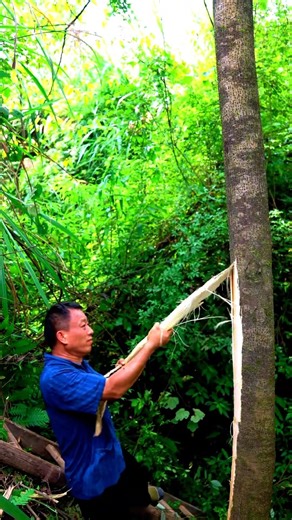 🔥This man is making paper from tree bark #shorts #viral #trending