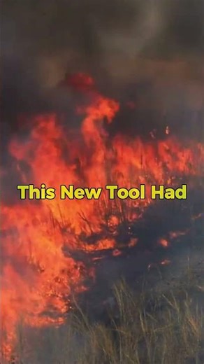 How Fire Changed Human Evolution 🔥🧠 || #history #innovation @TECHY2022