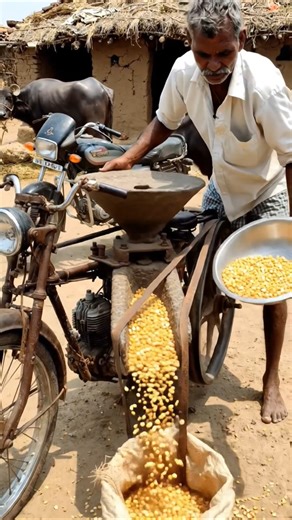 Desi Jugaad Se Bana Chana Dal Machine 😱| Village Innovation India #desijugaad #shortsfeed #farming