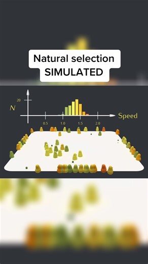 Primer on yt #evolution #naturalselection #simulation
