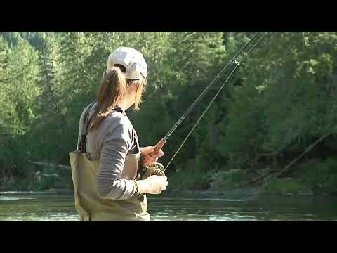 Atlantic salmon live release - tips and techniques (2014)