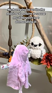14K views · 150 reactions | It’s coming soon I promise 藍 #owl #miniowl #plushies #harrypotter #hedwig #pattern | Crochet With Bay | Facebook