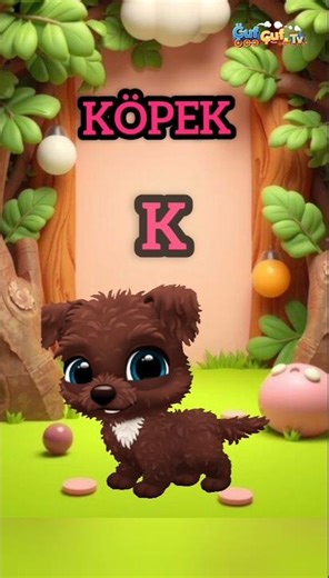 Harfler ve Sesler: Hayvanlar Dünyası (Arı, Eşek, Kaplan, Kedi)