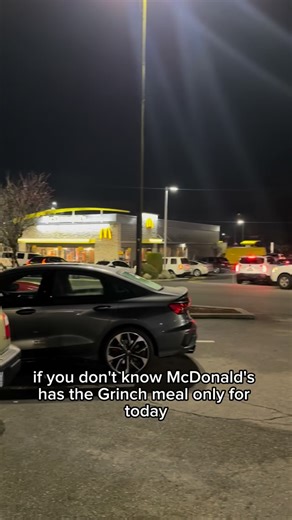 29K views | GRINCH MEAL REVIEW #grinchmeal #mcdonalds #thegrinch #thegrinchmeal | Nathan Snacks | Facebook