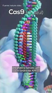 This is how CRISPR GENE EDITING works🧬🔬👀