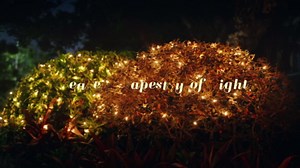 ElectricWise 4 Pack Net Christmas Lights Outdoor 4 x 6 Ft, Clear Mesh Christmas Mini Incandescent Net Lights with End to End Plug for Bushes, Hedges, Tree, Warm White, Green Wire - Amazon.com