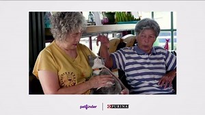 Petfinder TV Spot, 'Shelters Need Help'