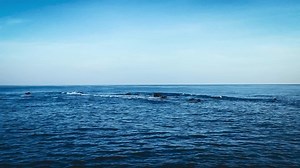 Natural Motion Ocean Sea Wave Beach Stock Footage Video (100% Royalty-free) 1032640898 | Shutterstock