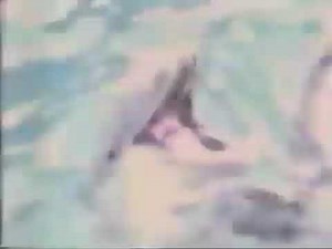 Cedar Point Commercial (1989) "Get to the Point"