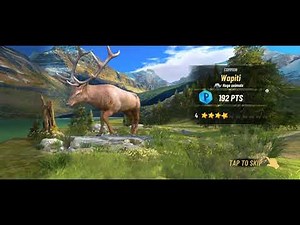 🔥 Hunting Clash Gameplay | Realistic Hunting Experience | Epic Animal Hunt 2025 🎯