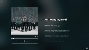 【Hi-Res无损音质】Alan Walker - Alone