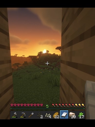 she wants to place her bed next to mine smh #fyp #fypシ #minecraft #gaming #couple #relationshipgoals #furry